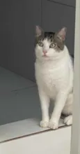 Tito