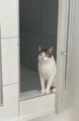 Tito