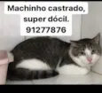 Tito