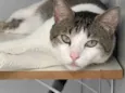 Tito