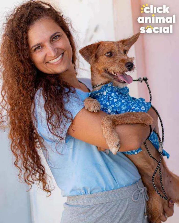 Cachorro ra a SRD ( SEM RACA DEFINIDA) idade 7 a 11 meses nome BOB