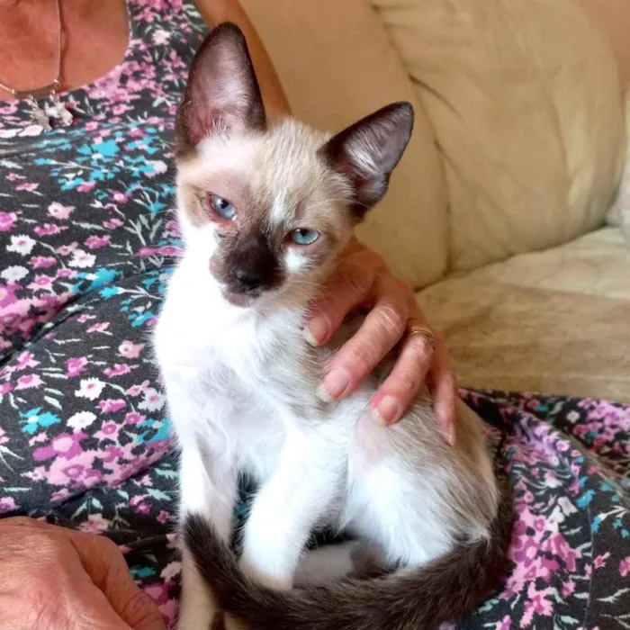 Poppy bb3meses lindo