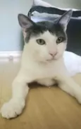 John
