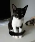 Lord