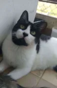 Filó