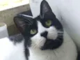 Filó