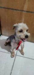Nick