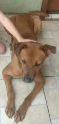 nina