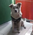 Banco