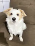 Teodoro