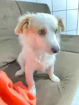 Teodoro 