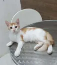 ..