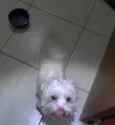 DESCONHECIDO