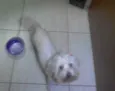 DESCONHECIDO