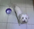 DESCONHECIDO