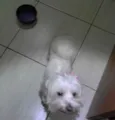 DESCONHECIDO