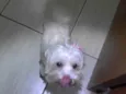 DESCONHECIDO