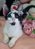 Mel.