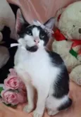 Mel.