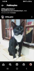 Neguinho