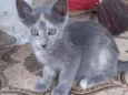 Fiona