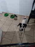 Fred