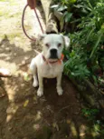 Frida