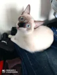 Mônica