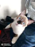 Mônica