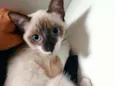 Mônica