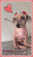 Belinha (ad ESPECIAL