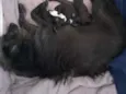 Lili 