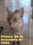 Sem nome