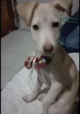 Charlie
