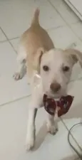 Charlie