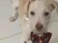 Charlie