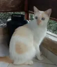 PRÍNCIPE