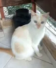PRÍNCIPE