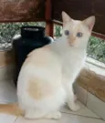 PRÍNCIPE