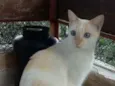 PRÍNCIPE