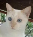 PRÍNCIPE