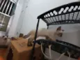 Huguinho