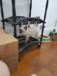 Huguinho