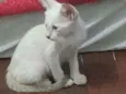 Sol
