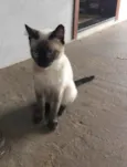 Lili