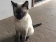Lili