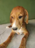 Brenda
