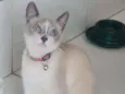 Charlote