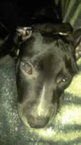Odin