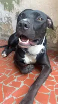 Odin